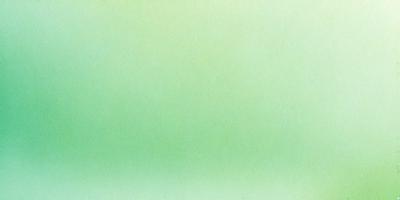 The primary subject of the image is a large, bright green wall. The setting is a room with a green background, and the visual style is a photo. The dominant colors are green, and the overall atmosphere is vibrant and lively.