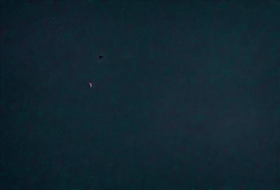 The primary subject of the image is a bird flying in the sky. The bird is located in the upper left part of the image. The setting is a dark, cloudy night sky, with no visible landmarks or objects. The visual style appears to be a photo, capturing the bird in flight against the backdrop of the night sky. The colors and mood of the image are predominantly dark and moody, with the bird being the only source of light and movement in the otherwise still and quiet night.