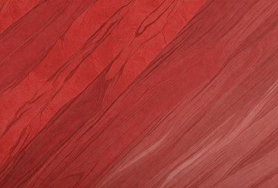 The primary subject of the image is a red wooden surface, which appears to be a piece of wood or a wooden wall. The setting is a room with a red color scheme, which gives the space a warm and inviting atmosphere. The visual style of the image is a close-up of the wooden surface, showcasing its texture and details. The dominant colors in the image are red and brown, which create a rich and vibrant mood.