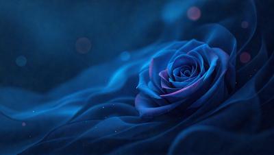 The primary subject of the image is a single, large, and beautiful blue rose. The rose is the main focus of the image, and it is displayed against a dark blue background. The visual style of the image is a close-up of the rose, which highlights its vibrant color and intricate details. The overall atmosphere of the image is serene and captivating, with the blue rose standing out against the dark blue background.