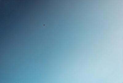 The primary subject of the image is a bird flying high in the sky. The bird is positioned in the middle of the scene, soaring above the vast blue sky. The setting is a clear day with no clouds, providing a perfect backdrop for the bird's flight. The visual style of the image is a photo, capturing the bird in its natural environment. The colors and mood of the image are predominantly blue, creating a serene and peaceful atmosphere.
