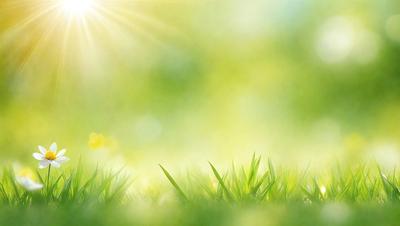 The primary subject of the image is a lush green field with bright sunlight shining on it. The setting is a grassy area with a clear blue sky in the background. The visual style is a combination of a photo and a digital art, creating a vibrant and natural atmosphere. The colors and mood are predominantly green, with the sunlight adding warmth and brightness to the scene.