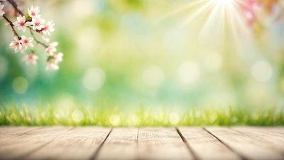 The primary subject of the image is a wooden boardwalk with a grassy area in the foreground. The setting is a sunny day, and the visual style is a photo. The colors and mood of the image are bright and cheerful, with the sunlight creating a warm and inviting atmosphere.