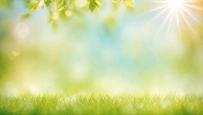 The primary subject of the image is a lush green field with sunlight shining on it. The setting is an outdoor environment, possibly a park or a field of grass. The visual style of the image is a photo, capturing the natural beauty of the grass and sunlight. The colors and mood of the image are predominantly green and bright, creating a serene and peaceful atmosphere.