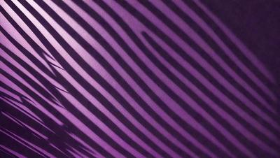 The image features a purple and white striped pattern, which is reminiscent of a palm tree. The primary subject is the pattern itself, which is displayed on a purple background. The visual style of the image is a combination of a photo and a digital art, creating a unique and eye-catching design. The colors and mood of the image are predominantly purple and white, giving it a modern and sophisticated appearance.