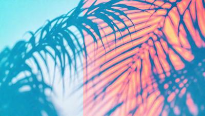 The primary subject of the image is a palm tree with a blue and pink background. The setting is a tropical environment, and the visual style is a combination of photo and digital art. The dominant colors are blue and pink, creating a vibrant and lively atmosphere.