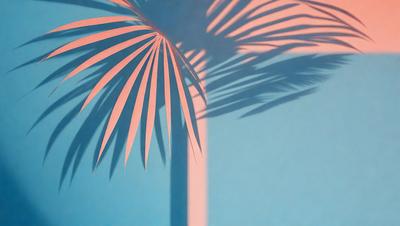 The primary subject of the image is a large palm tree with a pink and blue background. The tree is casting a shadow on the wall, creating a visually striking scene. The setting appears to be a tropical or beach-like environment, with the tree being the main focus of the image. The visual style is a combination of photo and digital art, creating a unique and vibrant atmosphere. The dominant colors are pink and blue, which contribute to the overall mood of the image, evoking a sense of relaxation and