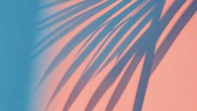 The primary subject of the image is a palm tree, which is prominently featured in the foreground. The setting is a beach, with the palm tree casting a shadow on the sand. The visual style is a photo, capturing the natural beauty of the palm tree and its surroundings. The colors and mood of the image are predominantly warm and inviting, with the palm tree and the beach creating a serene and relaxing atmosphere.