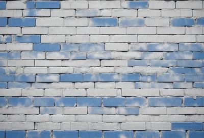 The primary subject of the image is a brick wall with blue bricks. The setting is a brick wall, and the visual style is a photo. The dominant colors are blue and white, creating a calm and serene atmosphere.