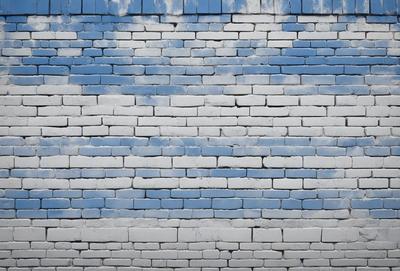 The primary subject of the image is a brick wall with a blue and white color scheme. The setting is a brick wall, and the visual style is a photo. The dominant colors are blue and white, creating a calm and serene atmosphere.
