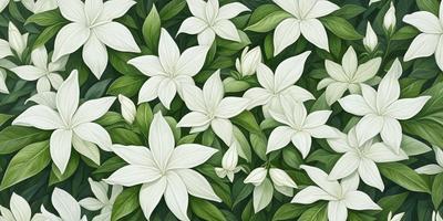 The primary subject of the image is a close-up of a white flower, surrounded by a lush green background. The visual style appears to be a painting or drawing, with a focus on the flower and its details. The colors in the image are predominantly white and green, creating a serene and natural atmosphere.