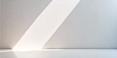 The primary subject of the image is a white wall with a shadow cast on it. The setting is a room with a white wall, and the visual style is a photo. The colors and mood of the image are predominantly white, creating a clean and minimalist atmosphere.