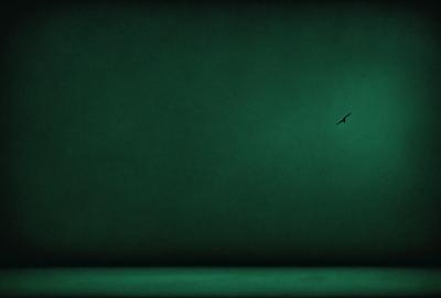 The primary subject of the image is a bird flying in the air. The bird is positioned towards the right side of the image. The setting is a dark, green background, which creates a moody atmosphere. The visual style appears to be a photo, capturing the bird in flight. The colors and mood of the image are dominated by the dark green background, which contrasts with the bird's natural colors.