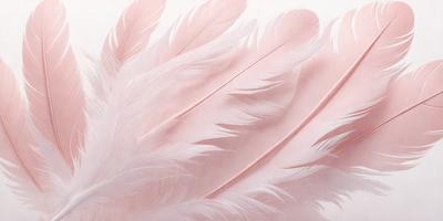 The primary subject of the image is a pink feather. The setting is a white background, and the visual style appears to be a photo. The dominant colors are pink and white, creating a soft and delicate atmosphere.