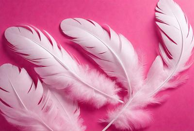 The primary subject of the image is a close-up of a white feather. The feather is placed on a pink background, which creates a contrast between the white and pink colors. The visual style of the image is a close-up of a single feather, emphasizing its texture and details. The overall atmosphere of the image is elegant and delicate, as the white feather is a symbol of purity and grace.
