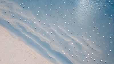 The primary subject of the image is a beach scene with a large number of white balls scattered across the sand. The setting is a beach with the ocean in the background. The visual style of the image is a photo, capturing the natural beauty of the beach and the white balls. The colors and mood of the image are predominantly white, creating a serene and peaceful atmosphere.