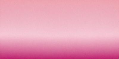 The primary subject of the image is a pink background. The setting is a large, empty space with no visible objects or people. The visual style is a close-up of the pink background, which gives the image a clean and minimalist appearance. The colors and mood of the image are predominantly pink, creating a warm and inviting atmosphere.