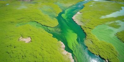 The primary subject of the image is a large body of water, which appears to be a river or a lake. The water is a vibrant shade of green, indicating that it might be a freshwater source. The setting is a lush green field, which provides a serene and natural backdrop for the water. The visual style of the image is a close-up view of the water, showcasing its unique color and texture. The overall atmosphere of the image is calm and peaceful, with the green water and surrounding