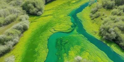 The primary subject of the image is a large body of water, which appears to be a lake or a river. The water is a vibrant shade of green, and it is surrounded by a lush green forest. The setting is serene and natural, with the water and the trees creating a peaceful atmosphere. The visual style of the image is a combination of photo and digital art, as it captures the beauty of the natural environment while also showcasing the intricate details of the water and the surrounding vegetation. The