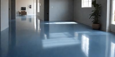 The primary subject of the image is a large, empty room with a blue floor. The room appears to be a lobby or a hallway, as it is described as a "hallway with windows." The setting/background consists of a window, which allows natural light to enter the room. The visual style of the image is a photo, capturing the room's emptiness and the blue floor. The colors and mood of the image are predominantly blue, creating a calm and serene atmosphere.
