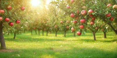 The primary subject of the image is a tree filled with green leaves and numerous apples hanging from its branches. The tree is located in a grassy field, which serves as the setting for the scene. The visual style of the image is a photo, capturing the natural beauty of the tree and its fruit. The dominant colors in the image are green, from the leaves, and red, from the apples. The overall atmosphere of the image is lush and vibrant, showcasing the abundance of fruit in the tree