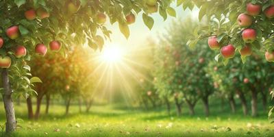 The primary subject of the image is a lush green field with a tree filled with apples. The setting is a sunny day, and the visual style is a photo. The dominant colors are green and yellow, creating a warm and inviting atmosphere.