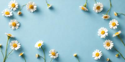 The primary subject of the image is a close-up of white flowers, with a total of 12 flowers in various positions. The flowers are arranged in a visually appealing manner, creating a sense of depth and dimension. The setting is a blue background, which adds a calming and serene atmosphere to the scene. The visual style of the image is a close-up of the flowers, emphasizing their details and beauty. The colors and mood of the image are predominantly white and blue, giving it a clean and