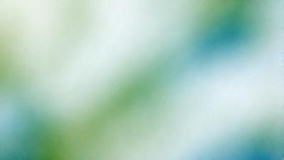 The primary subject of the image is a green and white color palette, with a focus on the green hue. The setting is a white background, which creates a clean and minimalistic appearance. The visual style is a combination of a photo and digital art, as it appears to be a close-up of a green and white pattern. The colors and mood of the image are predominantly green and white, giving it a calm and serene atmosphere.