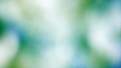 The primary subject of the image is a green and white background. The setting is a white and green environment, which creates a calming and serene atmosphere. The visual style is a combination of a photo and digital art, giving the image a unique and artistic appearance. The colors and mood of the image are predominantly green and white, with a touch of blue, creating a sense of tranquility and harmony.