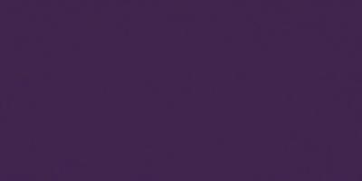 The primary subject of the image is a purple background. The setting is a dark, purple sky, which creates a moody atmosphere. The visual style is a close-up of the purple background, emphasizing its richness and depth. The colors and mood of the image are predominantly purple, giving it a calm and serene feel.