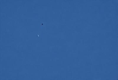 The primary subject of the image is the moon, which is visible in the sky. The setting is a clear blue sky, and the visual style is a photo. The colors and mood of the image are predominantly blue, creating a calm and serene atmosphere.