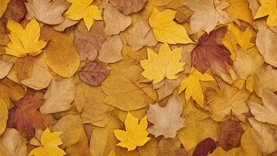 The primary subject of the image is a pile of leaves scattered across a yellow surface. The leaves are of various sizes and shapes, creating a visually interesting and natural scene. The setting appears to be outdoors, possibly in a park or garden. The visual style of the image is a close-up of the leaves, showcasing their details and textures. The colors in the image are predominantly yellow, which adds warmth and a sense of autumn to the scene.