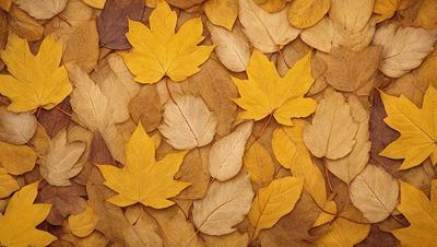 The primary subject of the image is a pile of yellow leaves scattered across a surface. The leaves are in various shapes and sizes, creating a visually interesting pattern. The setting appears to be outdoors, possibly during the fall season. The visual style of the image is a close-up of the leaves, showcasing their details and textures. The colors and mood of the image are warm and inviting, with the yellow leaves evoking a sense of autumn and nature.