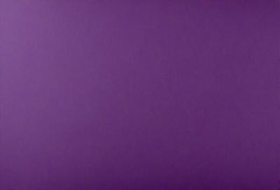 Purple wall with no visible objects or textures.