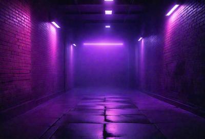 The primary subject of the image is a purple hallway with a brick wall. The setting is a dark, narrow passage with a purple glow. The visual style is a photo, and the colors and mood are predominantly purple, creating a mysterious and moody atmosphere.