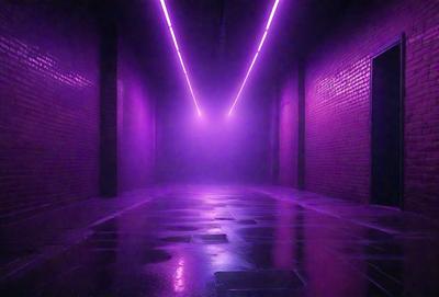 The primary subject of the image is a purple lighted hallway. The setting is a dark, purple-lit hallway with a brick wall. The visual style is a photo, and the colors and mood are predominantly purple, creating a moody and atmospheric scene.