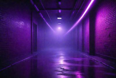 The primary subject of the image is a purple hallway with a wet floor. The setting is a dark, purple-lit room, which gives the scene a moody atmosphere. The visual style appears to be a photo, as it captures the purple lighting and the wet floor. The colors and mood of the image are predominantly purple, creating a mysterious and intriguing ambiance.
