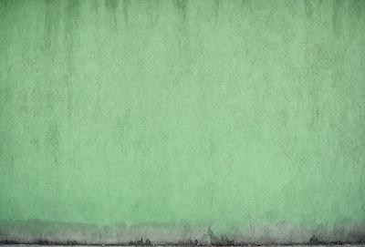 The primary subject of the image is a green wall with a mossy texture. The setting is an outdoor environment, and the visual style is a photo. The dominant colors are green and mossy, creating a calm and natural atmosphere.