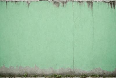 The primary subject of the image is a green wall with a peeling paint surface. The setting is an outdoor environment, and the visual style appears to be a photo. The dominant colors are green and white, with a slightly muted atmosphere.