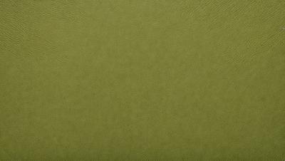 The primary subject of the image is a close-up of a green leather material. The setting is a wall, and the visual style is a photo. The colors and mood of the image are predominantly green, giving it a natural and earthy feel.