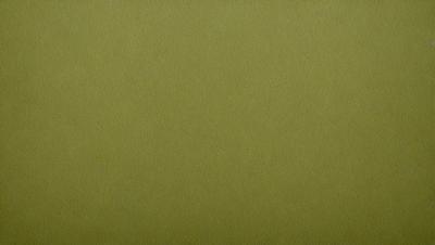 The primary subject of the image is a green background. The setting is a plain, empty space with no visible objects or people. The visual style is a close-up of the green background, which appears to be a piece of fabric or a wall. The colors and mood of the image are predominantly green, creating a calm and serene atmosphere.