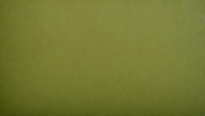 The primary subject of the image is a large, green, textured surface. The setting is a plain, empty room with no other objects or people visible. The visual style is a close-up of the green surface, which appears to be a piece of fabric or a wall with a unique texture. The colors and mood of the image are predominantly green, giving it a calm and serene atmosphere.