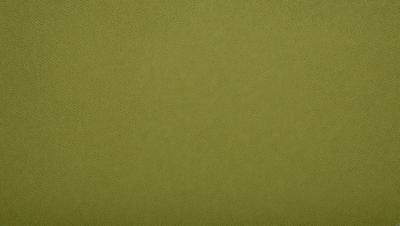 The primary subject of the image is a large, green wall. The setting is a room with a green background, which creates a unique and visually striking environment. The visual style of the image is a close-up of the green wall, showcasing its texture and color. The dominant colors in the image are green, which creates a calm and soothing atmosphere.