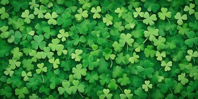The image features a lush green field filled with a variety of shamrocks. The shamrocks are scattered throughout the field, creating a vibrant and colorful scene. The primary subject of the image is the field of shamrocks, which serves as the backdrop for the scene. The visual style of the image is a close-up of the shamrocks, showcasing their intricate details. The colors and mood of the image are predominantly green, with a sense of freshness