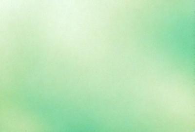 The primary subject of the image is a green background. The setting is a plain, green wall, and the visual style is a photo. The colors and mood of the image are predominantly green, creating a calm and serene atmosphere.