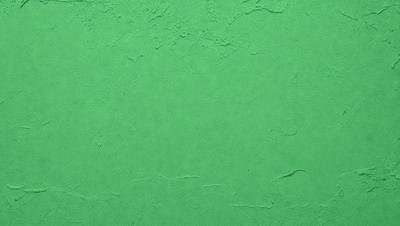 The primary subject of the image is a green wall with a textured surface. The setting is a room with a green wall, and the visual style is a close-up of the wall. The colors and mood of the image are predominantly green, creating a calm and soothing atmosphere.