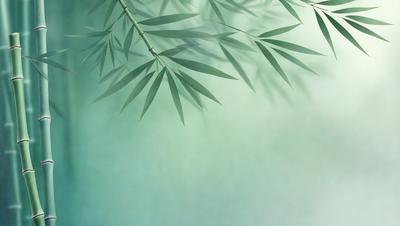 The primary subject of the image is a large green leaf, which is the main focus of the scene. The leaf is placed against a backdrop of a green, leafy background, creating a sense of depth and natural beauty. The visual style of the image is a combination of photo and digital art, as it captures the intricate details of the leaf while maintaining a sense of realism. The colors in the image are predominantly green, which adds to the overall mood of the scene, evoking a sense of tranqu