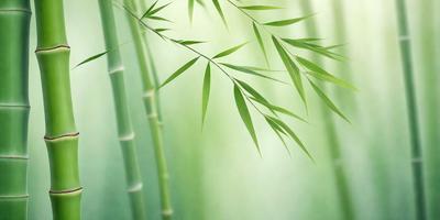 The primary subject of the image is a large green leaf, which is the main focus of the scene. The leaf is situated in a setting with a green background, which adds to the overall atmosphere of the image. The visual style of the image is a close-up of the leaf, showcasing its intricate details. The colors in the image are predominantly green, creating a serene and natural mood.