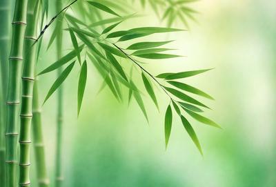 The primary subject of the image is a large green leaf, which is the main focus of the scene. The leaf is situated in a lush green environment, with a background of more leaves and a tree. The visual style of the image is a close-up of the leaf, showcasing its intricate details. The colors and mood of the image are predominantly green, creating a serene and natural atmosphere.