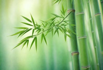 The primary subject of the image is a bamboo plant with green leaves. The setting is a lush green environment, possibly a forest or a garden. The visual style is a painting or drawing, showcasing the intricate details of the bamboo plant. The colors and mood of the image are vibrant and serene, with the green leaves and stems creating a sense of tranquility and connection to nature.